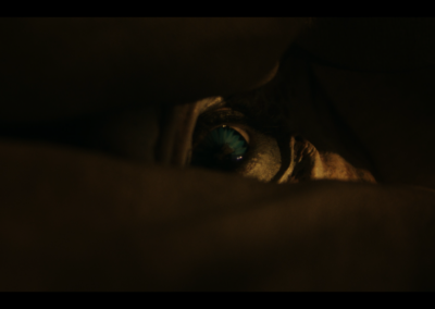 Still from Bite Size Halloween, produced by film producer Valerie Steinberg.