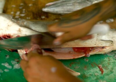 Still from Esta Isla, produced by film producer Valerie Steinberg.